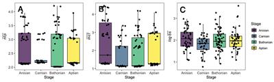 Beyond functional diversity: The importance of trophic position to understanding functional processes in community evolution